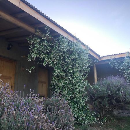 Tikaykilla Lodge & Wines مايبو المظهر الخارجي الصورة