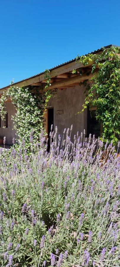 Tikaykilla Lodge & Wines مايبو المظهر الخارجي الصورة