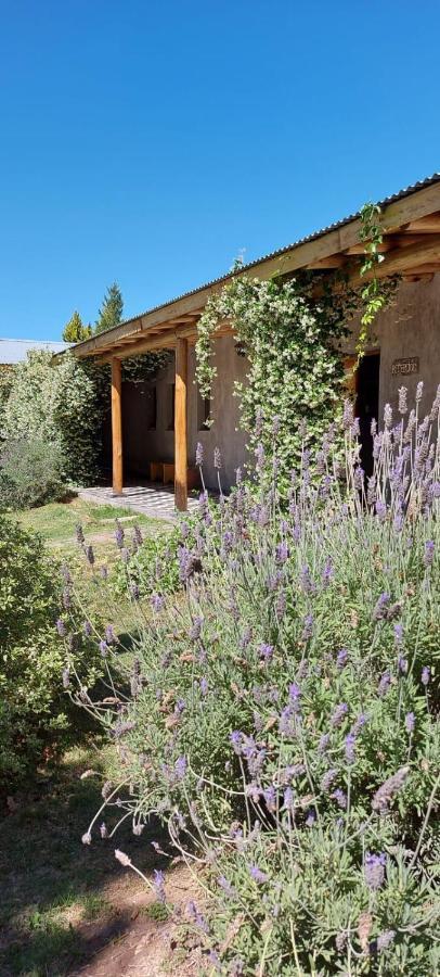 Tikaykilla Lodge & Wines مايبو المظهر الخارجي الصورة