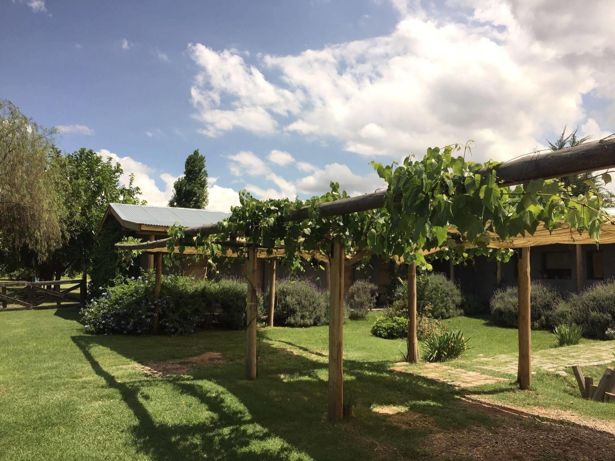 Tikaykilla Lodge & Wines مايبو المظهر الخارجي الصورة