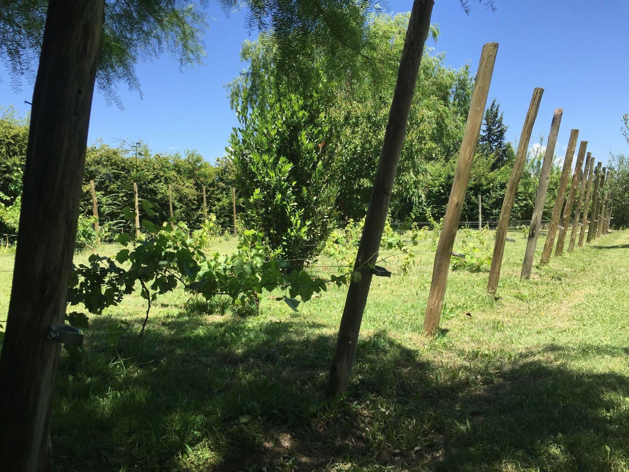 Tikaykilla Lodge & Wines مايبو المظهر الخارجي الصورة