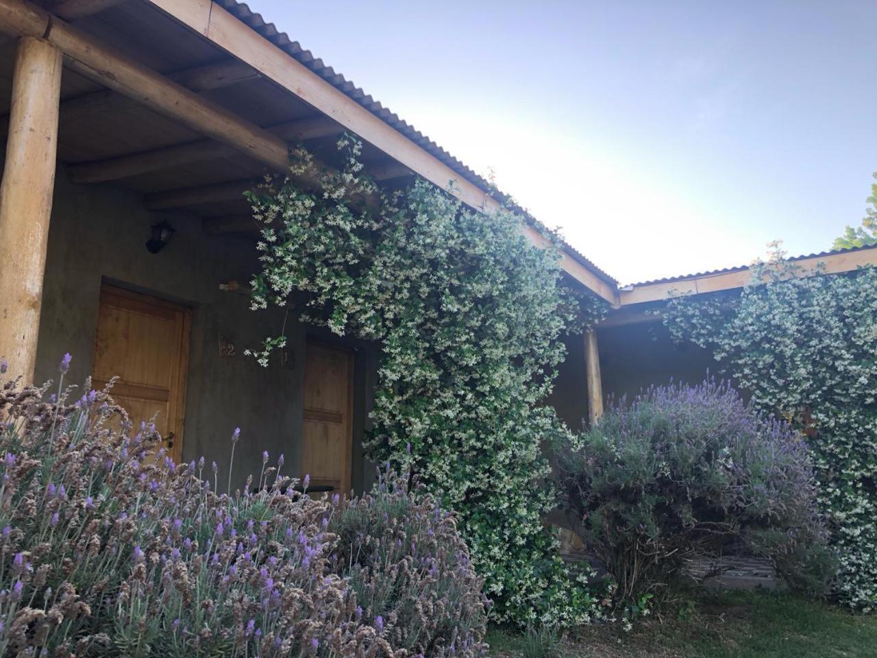 Tikaykilla Lodge & Wines مايبو المظهر الخارجي الصورة
