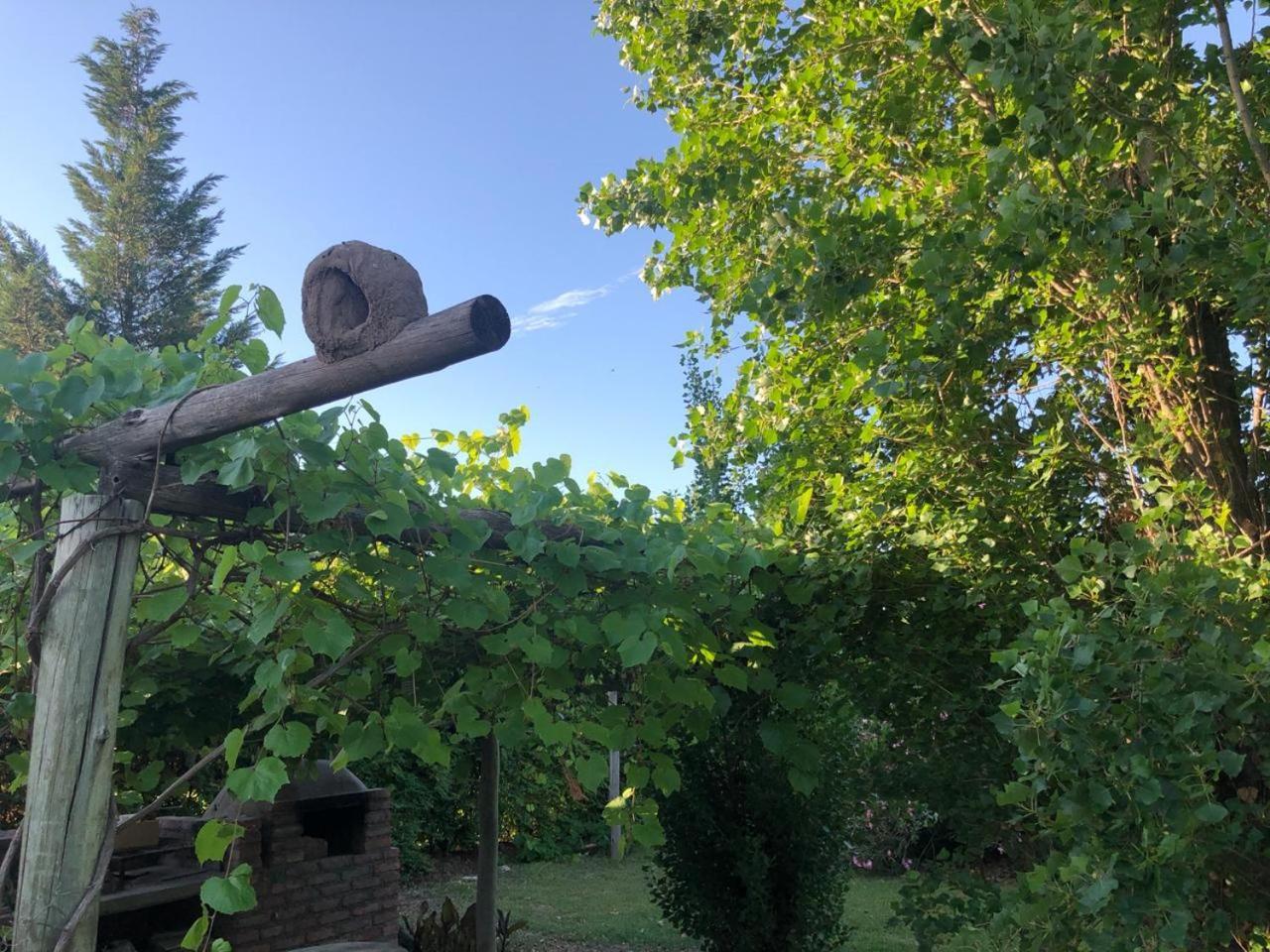 Tikaykilla Lodge & Wines مايبو المظهر الخارجي الصورة