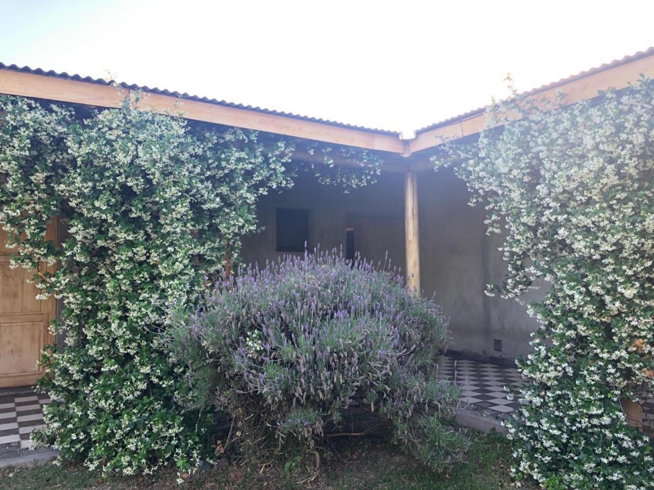 Tikaykilla Lodge & Wines مايبو المظهر الخارجي الصورة
